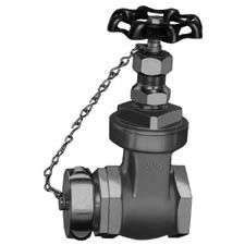 Elkhart Hydrant Gate Valve, 2.5" Brass 2.5"F NPTx2.5"M