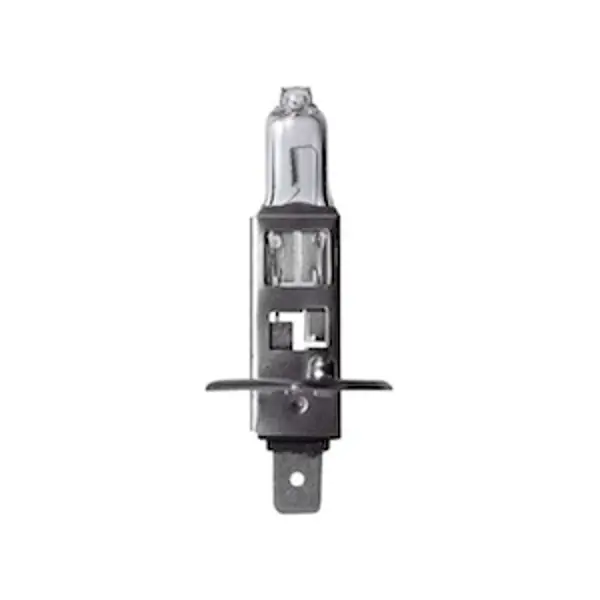 Edison Bulb, 12V, 100W Halogen