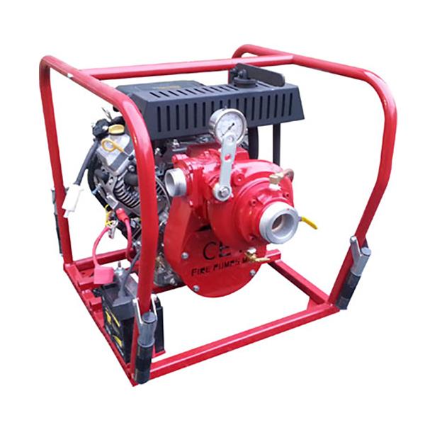 CET 23 HP Portable High Pressure Pump, Vanguard Engine