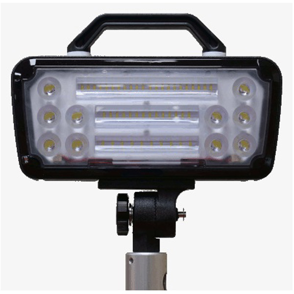 FRC Radiant Eco DC, White LEDs, Scene Light, Bundle of 2 Lights